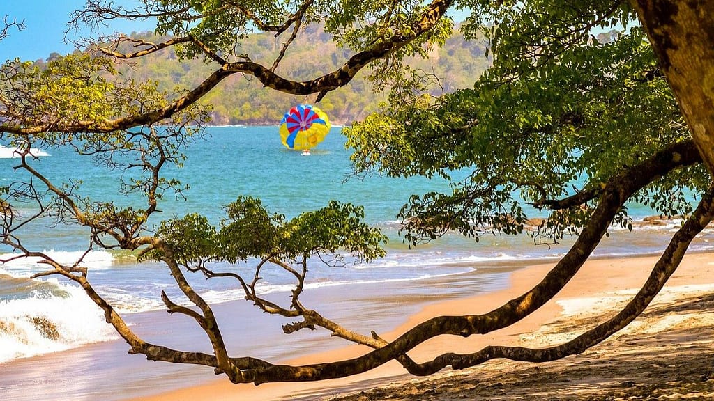 Family-friendly beach in Costa Rica with palm trees and turquoise water