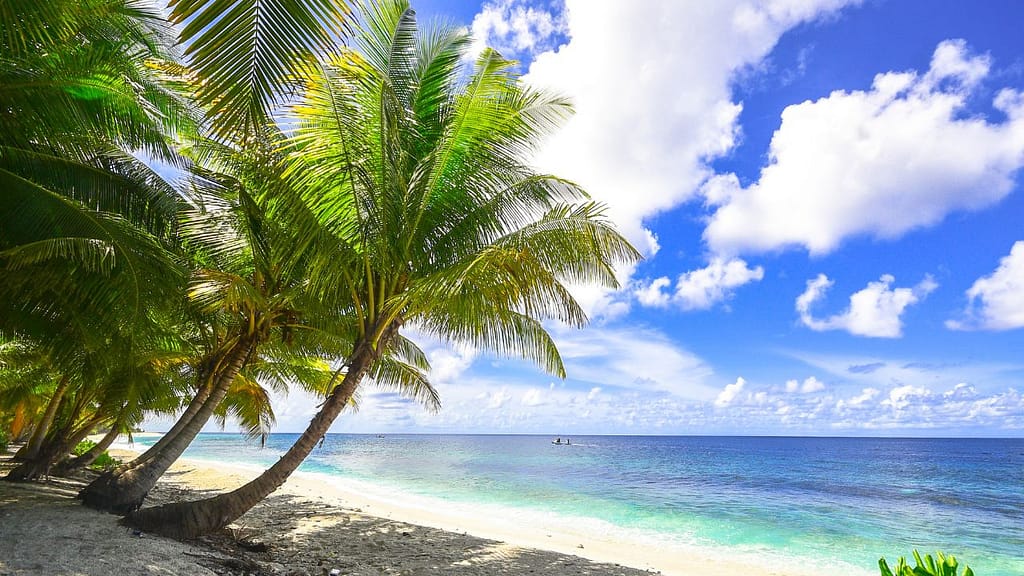 Family-friendly beach in the Dominican Republic with turquoise water and palm trees
