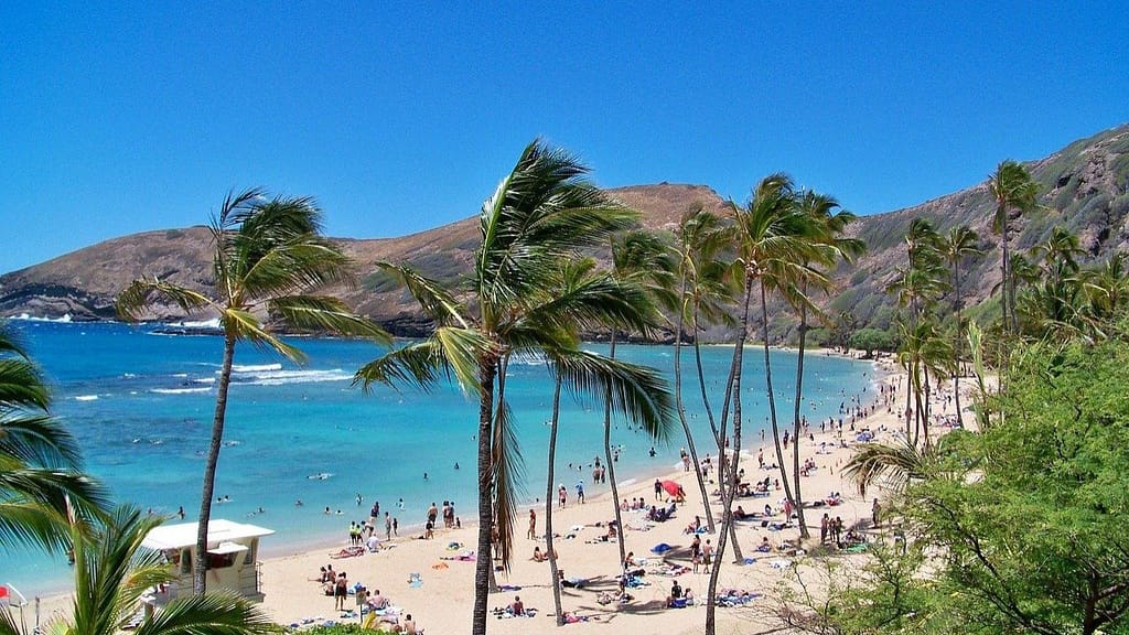 family friendly beach in Hawaii with palm trees and calm blue water