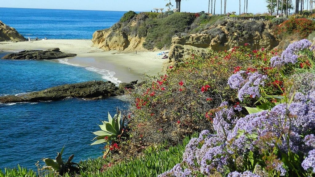 Laguna Beach California rocky cove with blue Pacific Ocean, sandy shoreline and palm trees