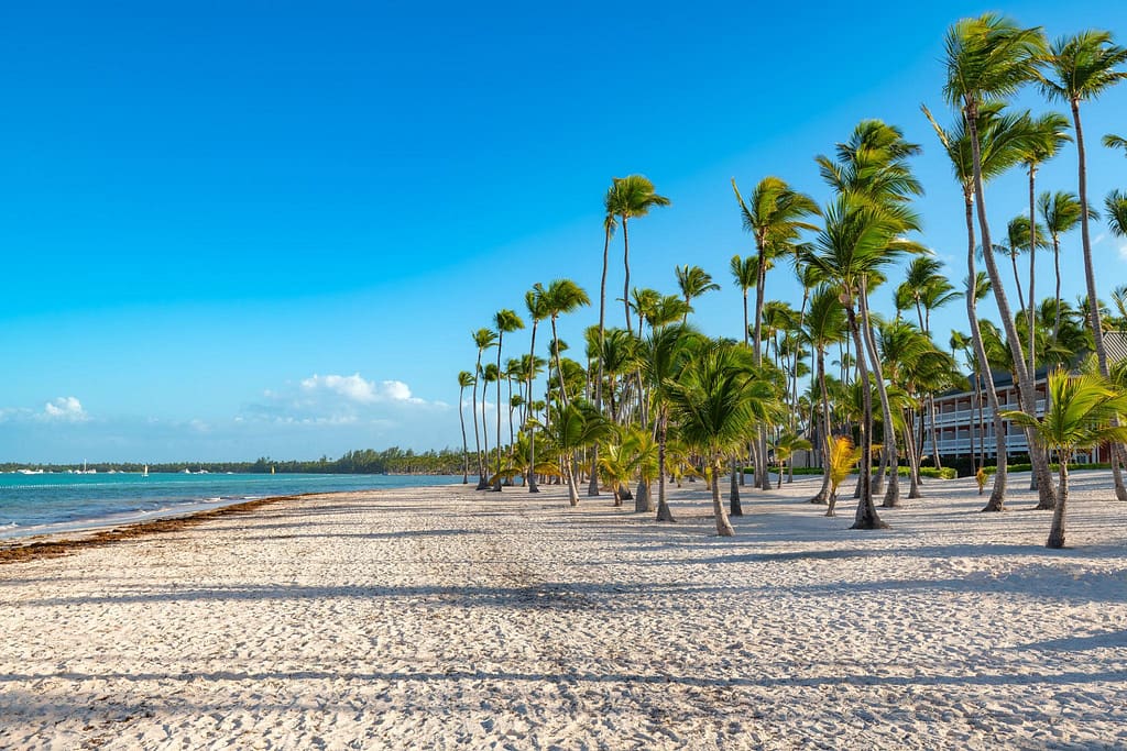 bavaro-beach-punta-cana-dominican-republic | Go With The Family Bavaro Beach in Punta Cana with palm trees, calm turquoise water, and soft white sand, ideal for families