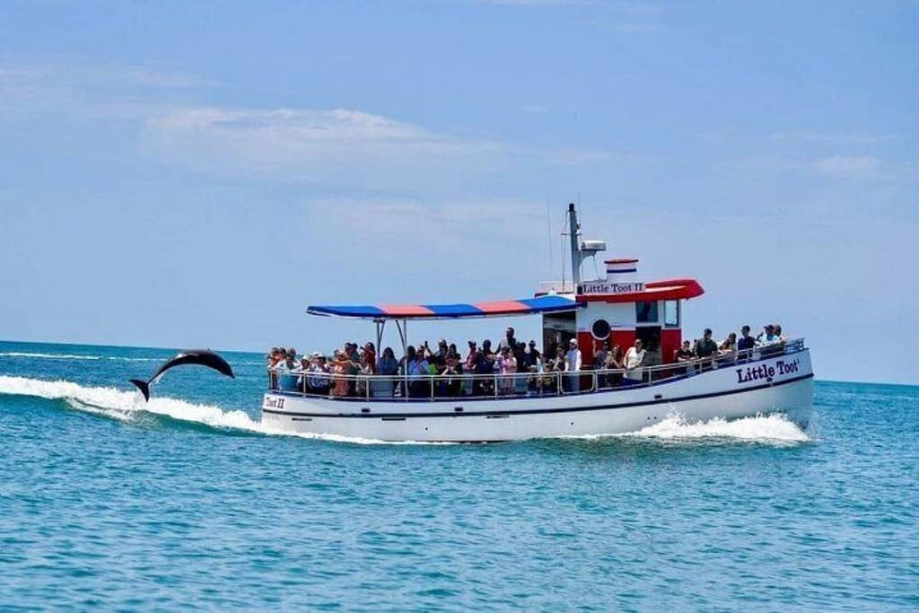 clearwater-dolphin-cruise-family-boat-1200x800 | Go With The Family Family on dolphin watching cruise in Clearwater Florida with dolphins swimming near the boat