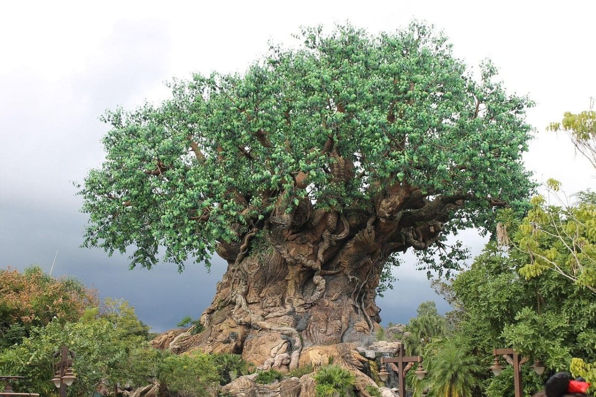 animal-kingdom-tree-of-life-family-itinerary-1200x800 | Go With The Family Disney's Tree of Life at Animal Kingdom, a relaxing park that fits perfectly into a multi-day family Disney World itinerary.