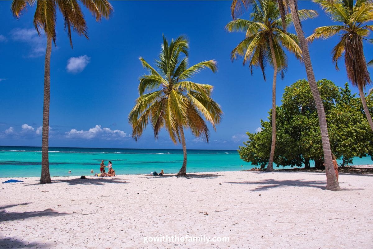 Bayahibe Family Beach, Dominican Republic | Go With The Family White sand beach with palm trees and calm turquoise Caribbean water in Bayahibe, Dominican Republic, a family-friendly beach destination.