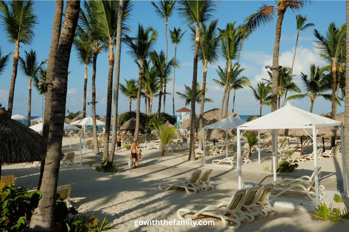 Dominican Republic Family Beach Vacation | Go With The Family Palm-lined beach with lounge chairs at a family-friendly beach resort in the Dominican Republic.