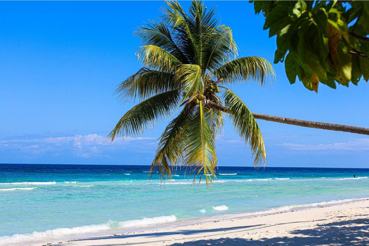 jamaica-family-beach-montego-bay-1200x800 | Go With The Family Family-friendly beach in Montego Bay, Jamaica with white sand, palm trees, and turquoise Caribbean water.