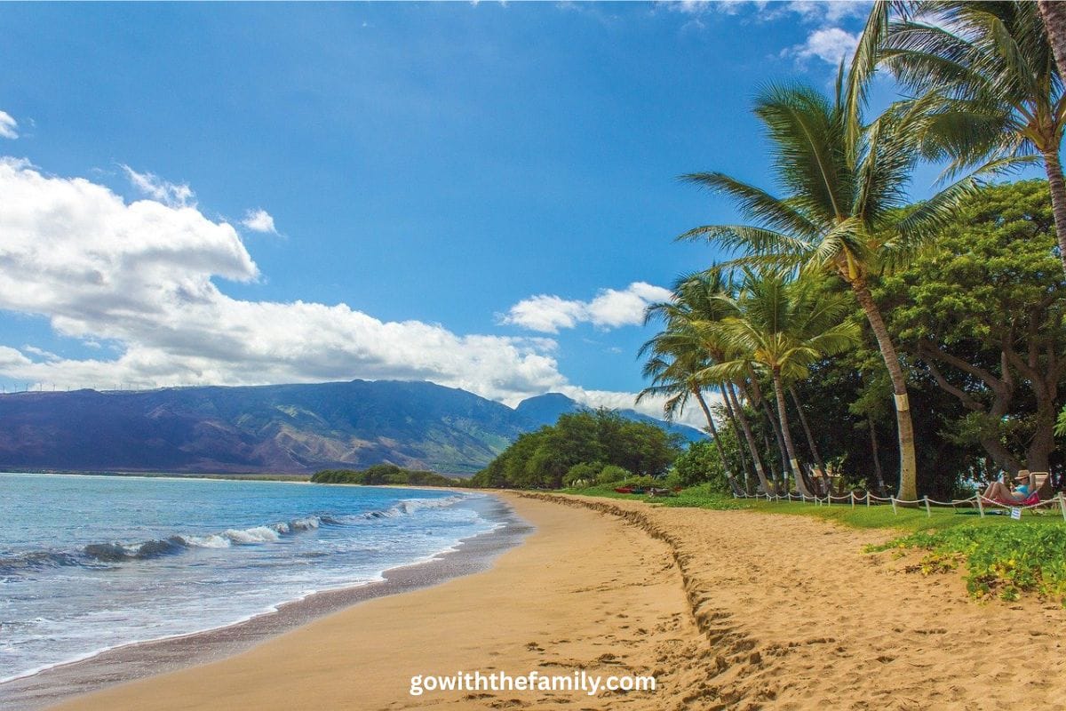 maui-family-beach-vacation-hawaii-1200x800 | Go With The Family Relaxing family-friendly beach in Maui Hawaii with palm trees and calm turquoise water
