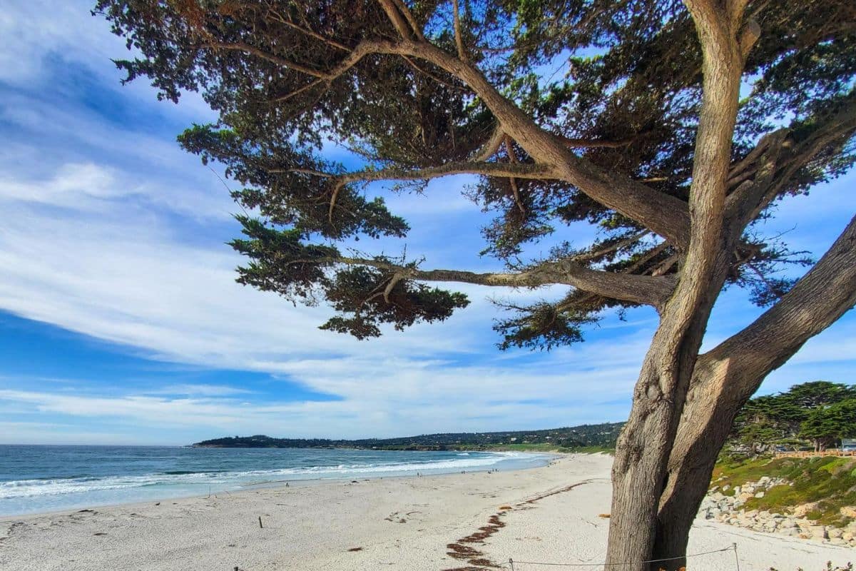 Monterey Bay and Carmel California Family Beach Destination | Go With The Family Monterey Bay and Carmel California family-friendly beach scenic coastline