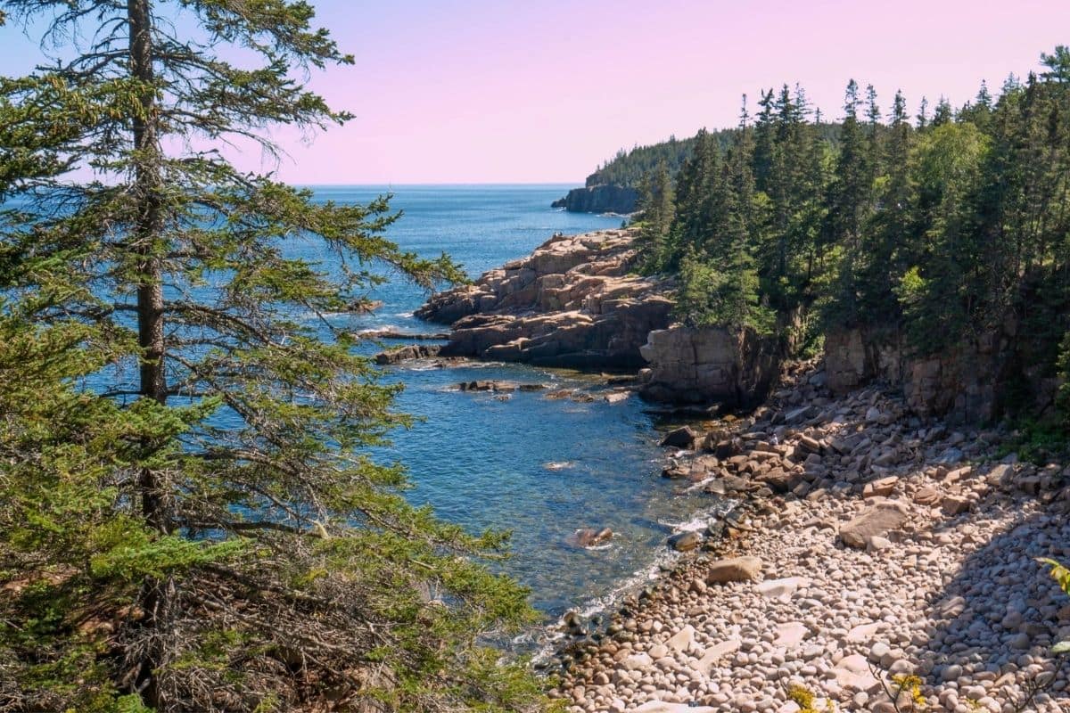 Acadia National Park Rocky Coast | Go With The Family Rocky Atlantic coastline and evergreen forest in Acadia National Park, Maine