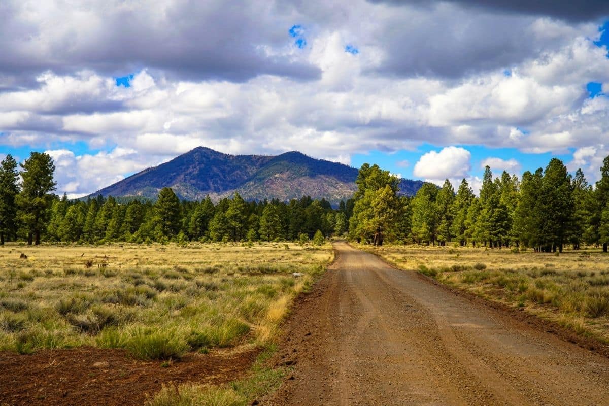 Coconino National Forest Near Flagstaff | Go With The Family Dirt road crossing a high-elevation meadow and ponderosa pine forest in Coconino National Forest near Flagstaff, Arizona