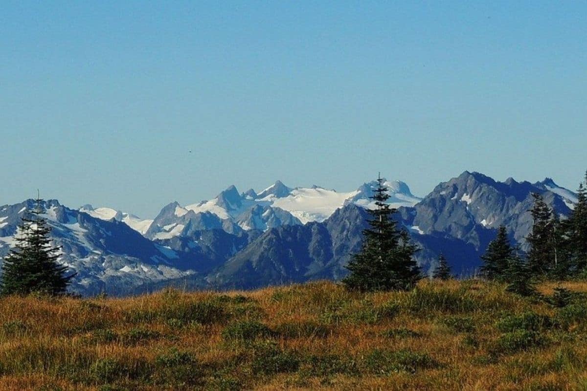 Hurricane Ridge — Olympic National Park | Go With The Family Snow-capped Olympic Mountains viewed from Hurricane Ridge in Olympic National Park