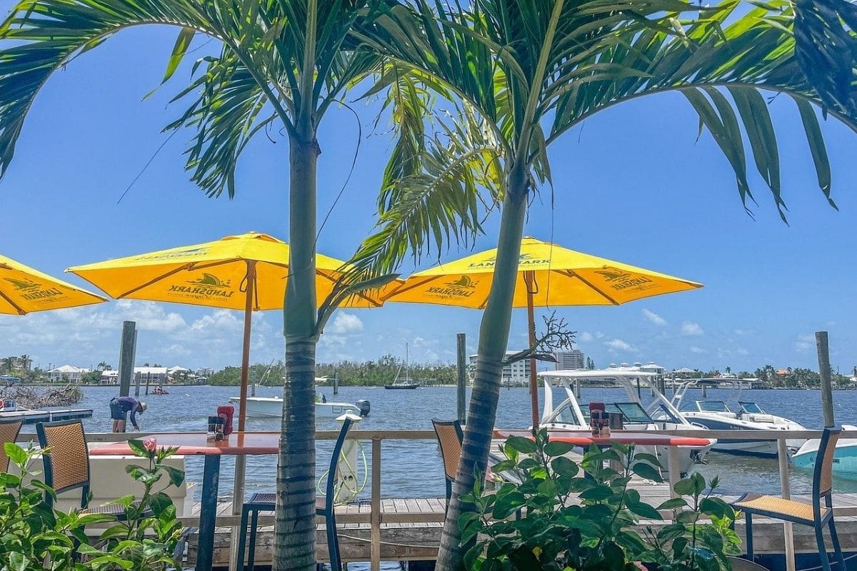 Islamorada Waterfront — Florida Keys | Go With The Family Palm trees and waterfront marina in Islamorada in the Florida Keys