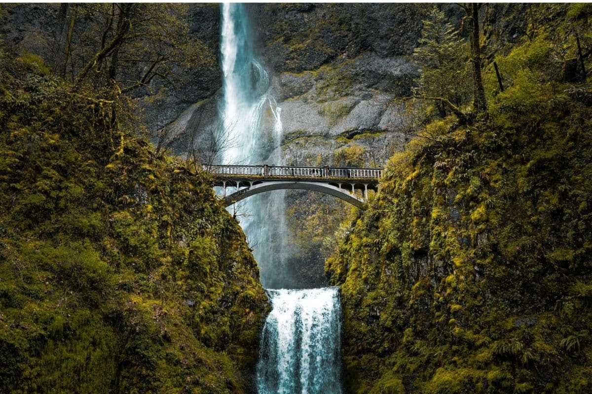 Multnomah Falls — Columbia River Gorge | Go With The Family Multnomah Falls and Benson Bridge in the Columbia River Gorge, Oregon