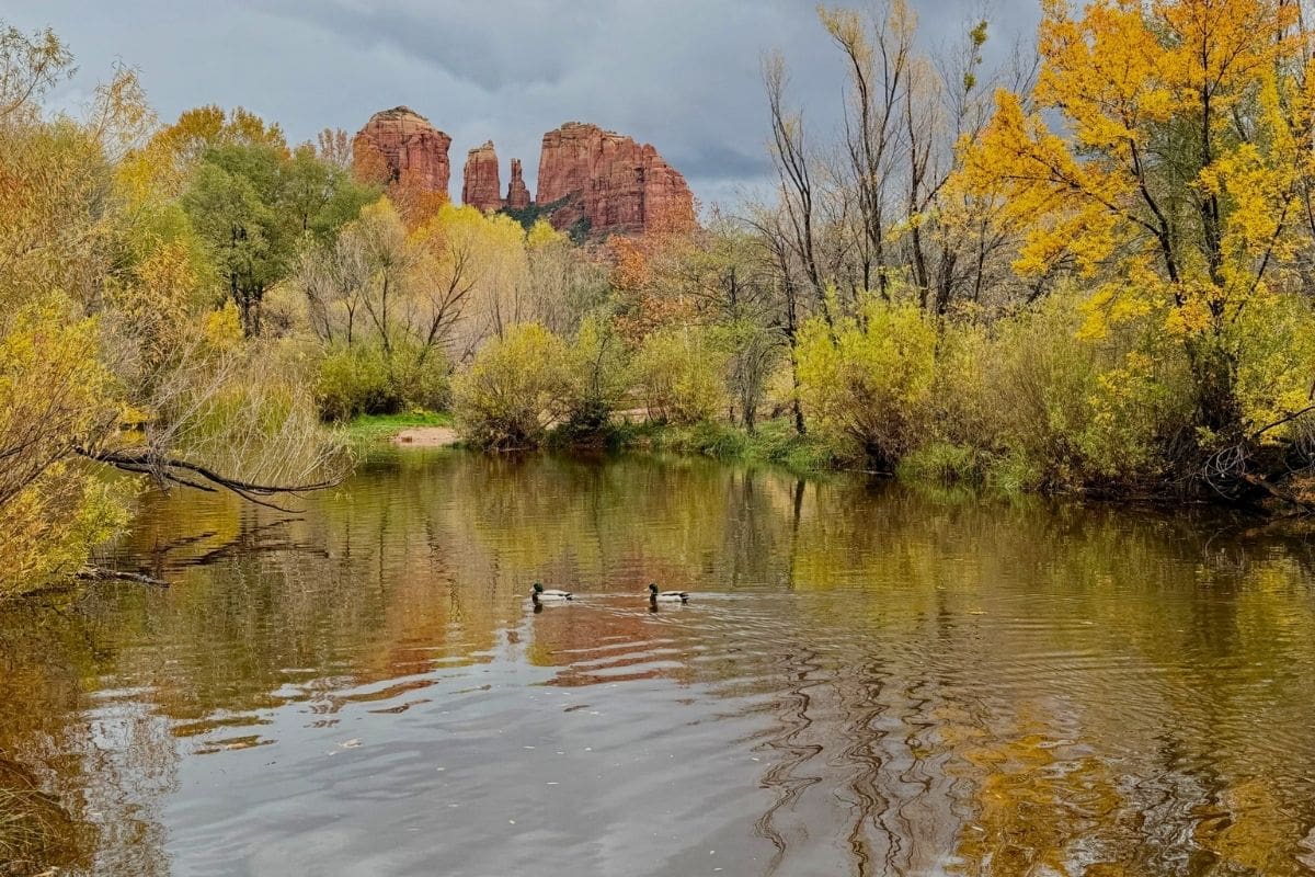Oak Creek — Sedona, Arizona | Go With The Family Oak Creek surrounded by trees with Sedona's red-rock formations in the distance, Arizona