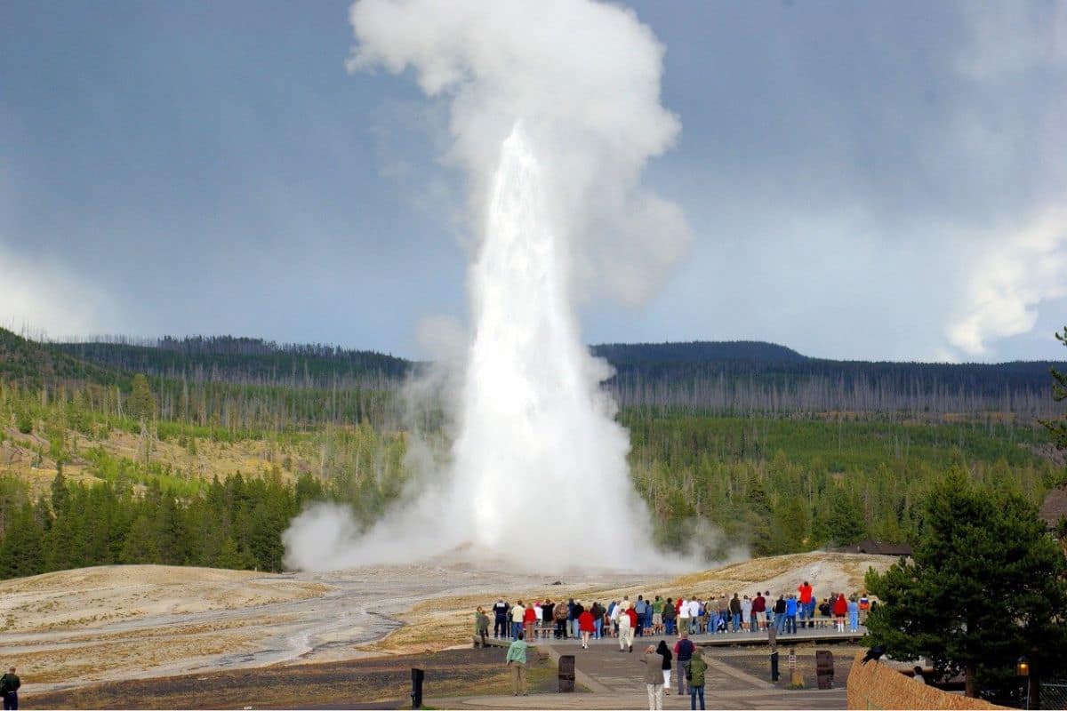 Old Faithful Eruption — Yellowstone National Park | Go With The Family Old Faithful erupting as visitors watch in Yellowstone National Park