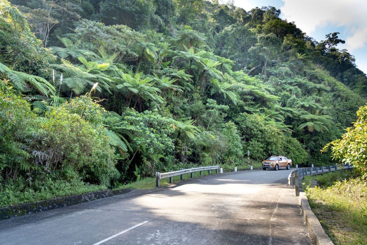 Road to Hana – Maui, Hawaii | Go With The Family Car driving along the lush tropical Road to Hana in Maui, Hawaii
