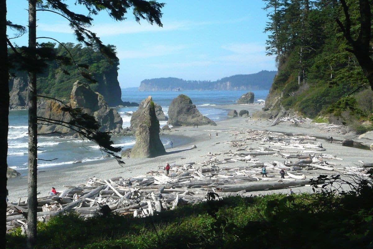 Ruby Beach — Olympic National Park | Go With The Family Driftwood, sea stacks and visitors along Ruby Beach in Olympic National Park