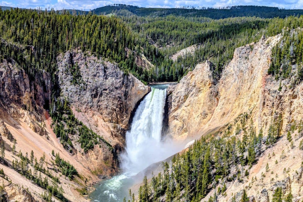 Lower Falls – Grand Canyon of the Yellowstone | Go With The Family Lower Falls plunging into the Grand Canyon of the Yellowstone in Yellowstone National Park