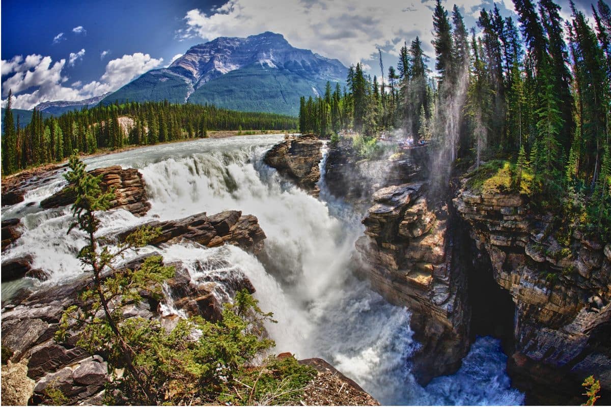 Athabasca Falls in Jasper National Park | Go With The Family Powerful Athabasca Falls plunging through a rocky gorge beneath the Canadian Rockies in Jasper National Park, Alberta