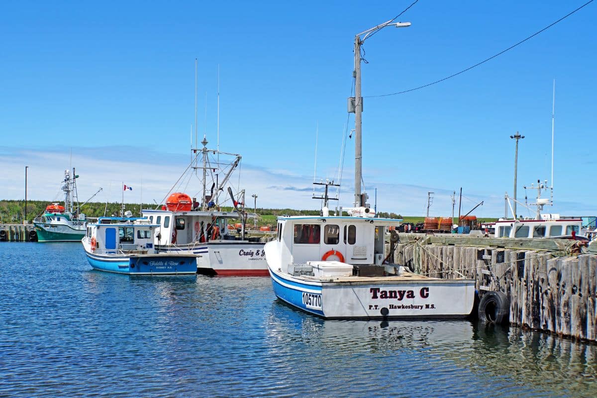 Chéticamp Fishing Harbour | Go With The Family Fishing boats at the wharf in Chéticamp, an Acadian fishing village on Cape Breton Island
