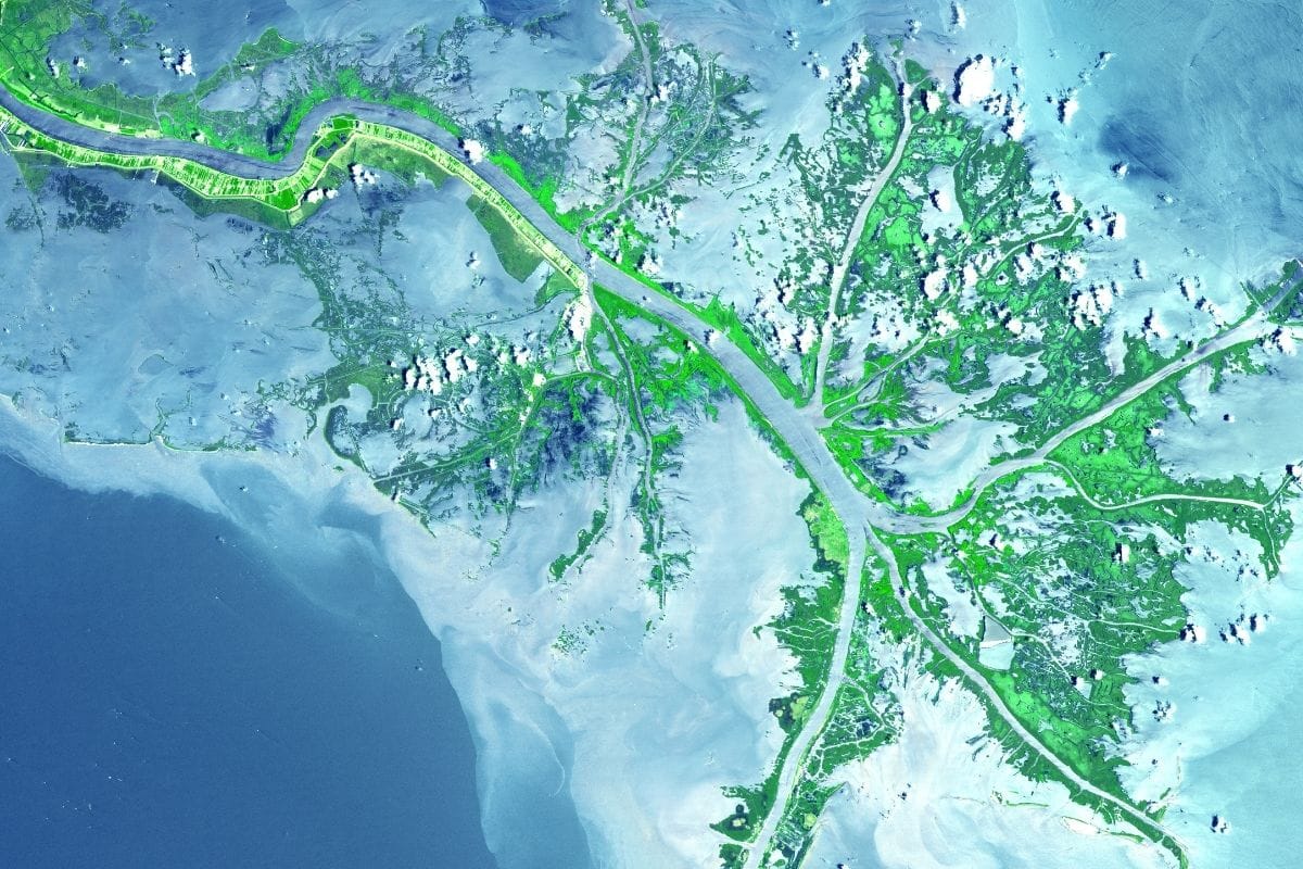 Mississippi River Delta, Louisiana | Go With The Family Satellite view of the Mississippi River Delta branching into the Gulf of Mexico in Louisiana